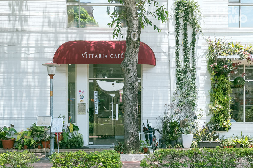 書帶蕨 Vittaria Café