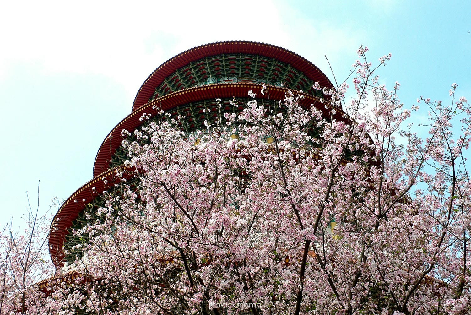 天元宮