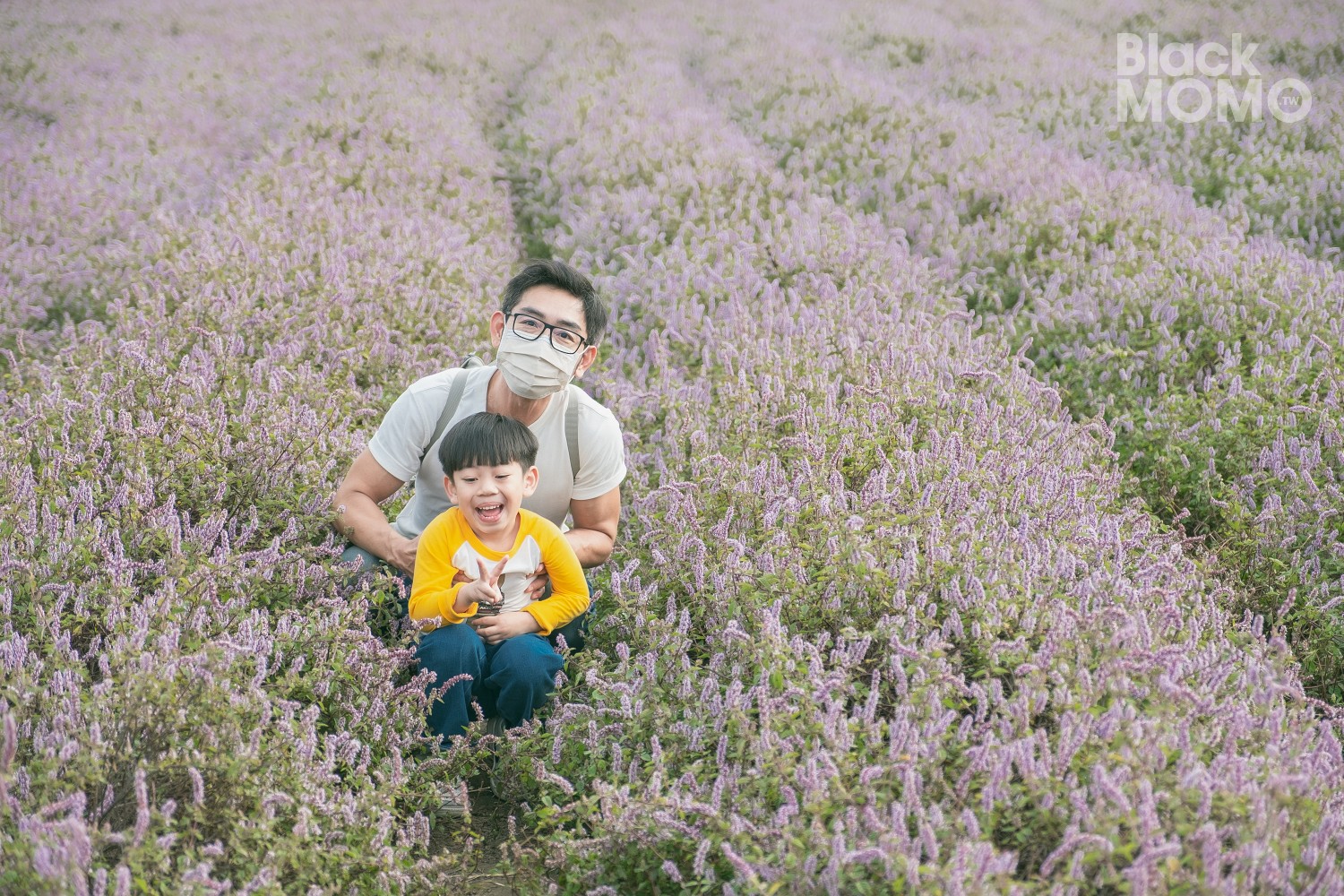 新竹關西一日遊|漫步石店子老街、嚐客家美食和沁涼仙草香 新竹關西一日遊