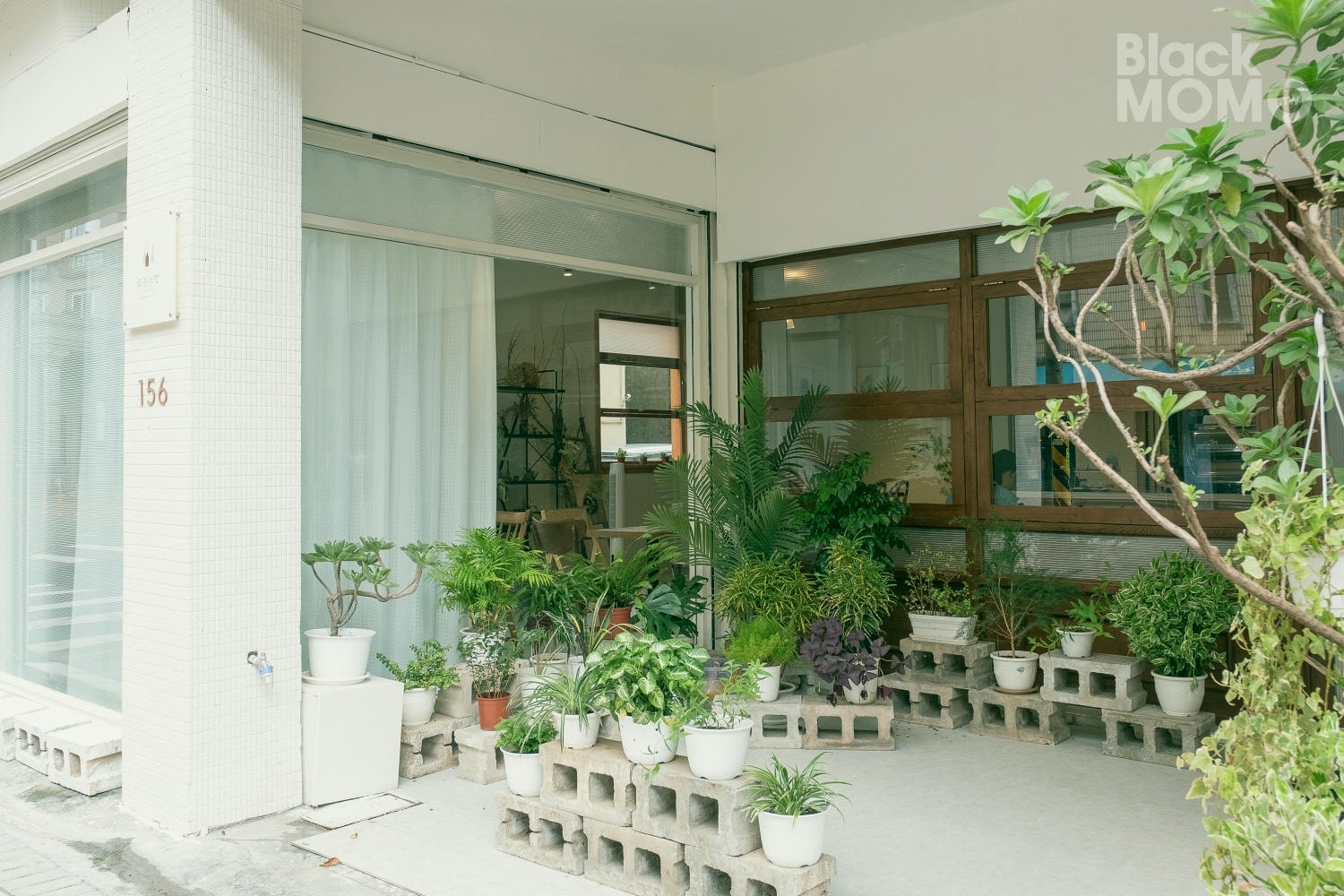 綠沐恬拾 
