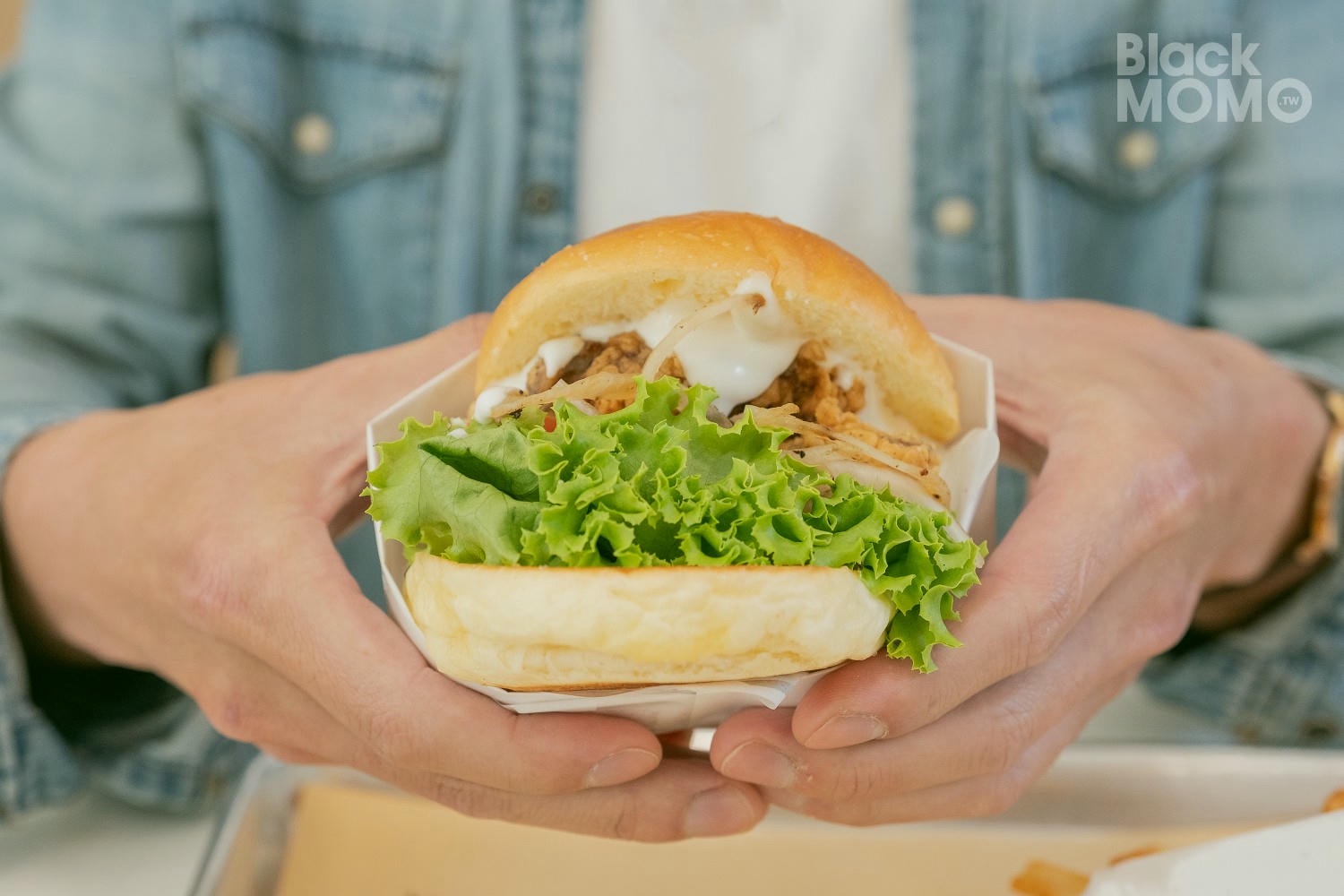 1996 BURGER