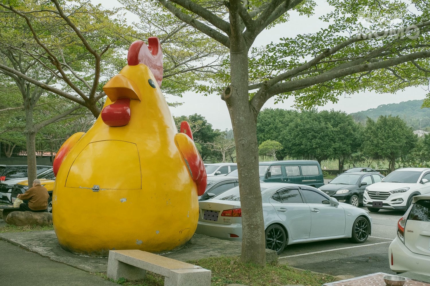 台灣山豬城