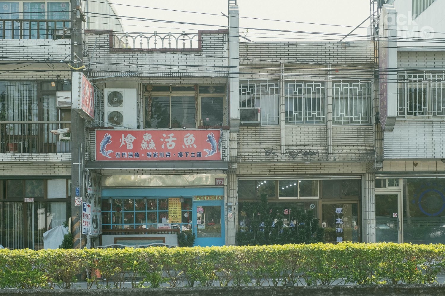 燴鱻活魚