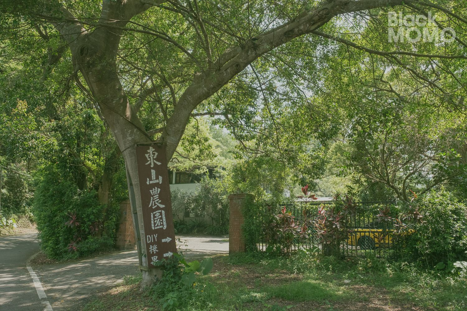 Fudu Cafe’ 福杜咖啡