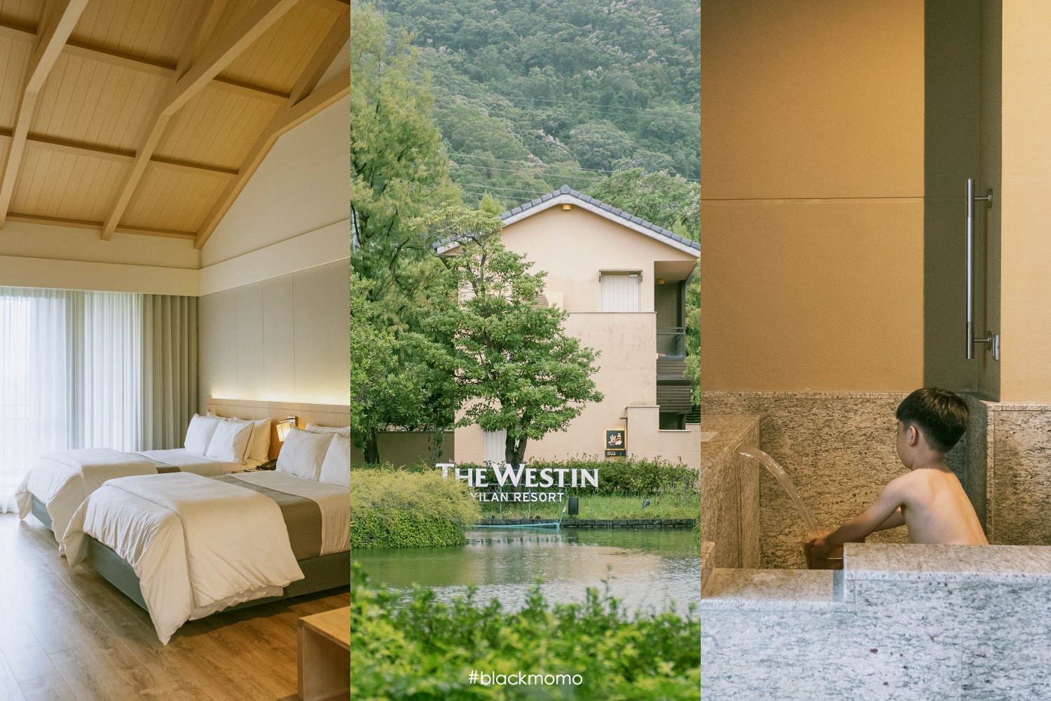 宜蘭力麗威斯汀度假酒店