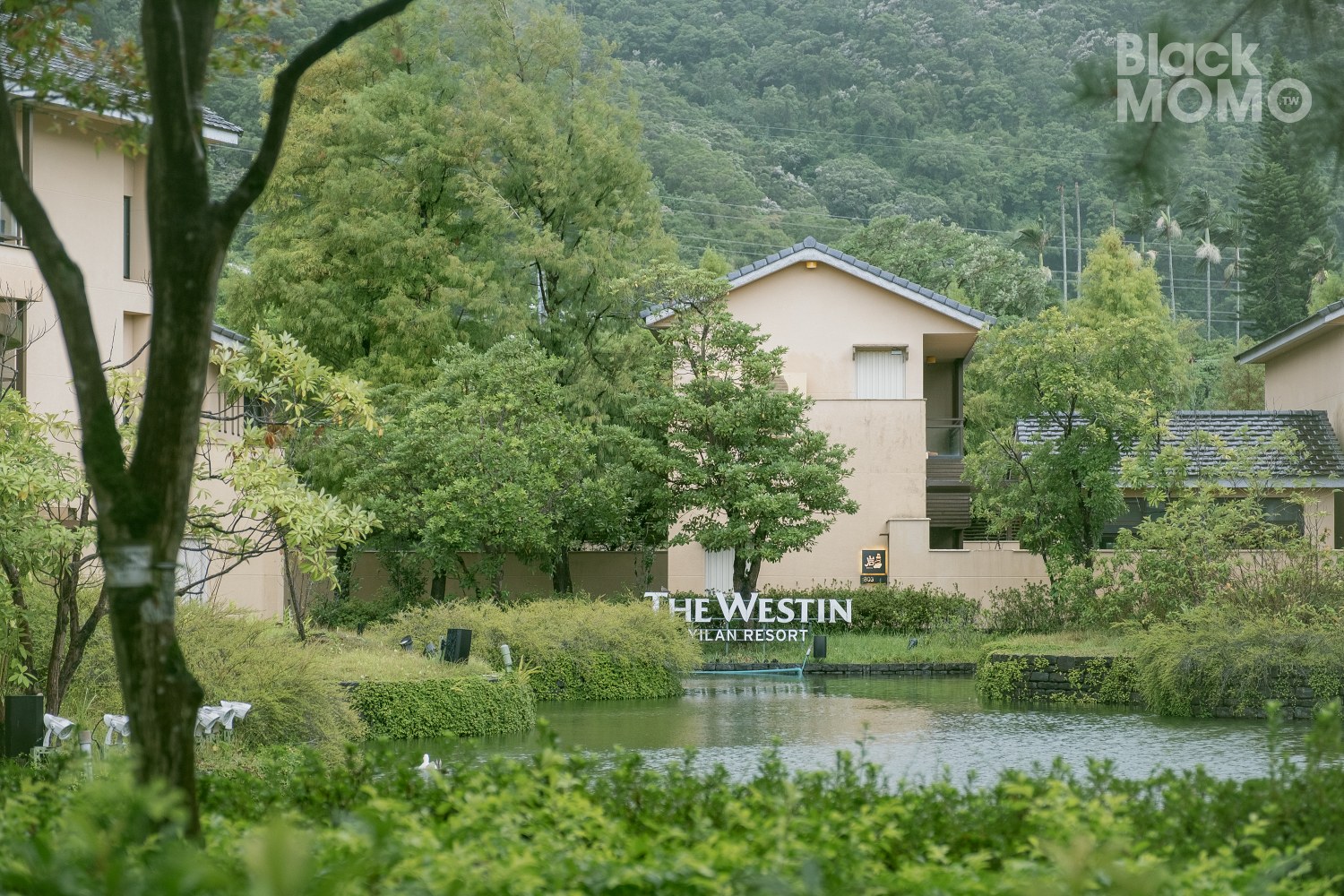 宜蘭住宿|宜蘭力麗威斯汀度假酒店・溫泉與綠意的慢活時光,一天一夜意猶未盡 宜蘭力麗威斯汀度假酒店