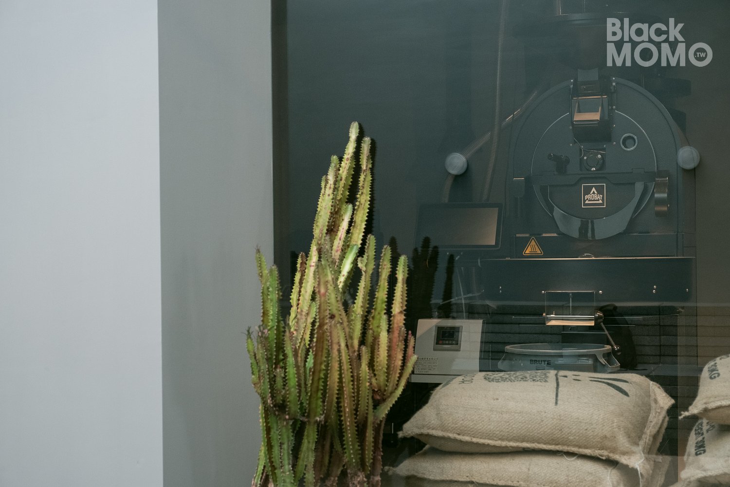 大溪|引路咖啡・走進藝廊般的咖啡廳,沉浸最純粹的咖啡體驗 引路咖啡大溪旗艦店