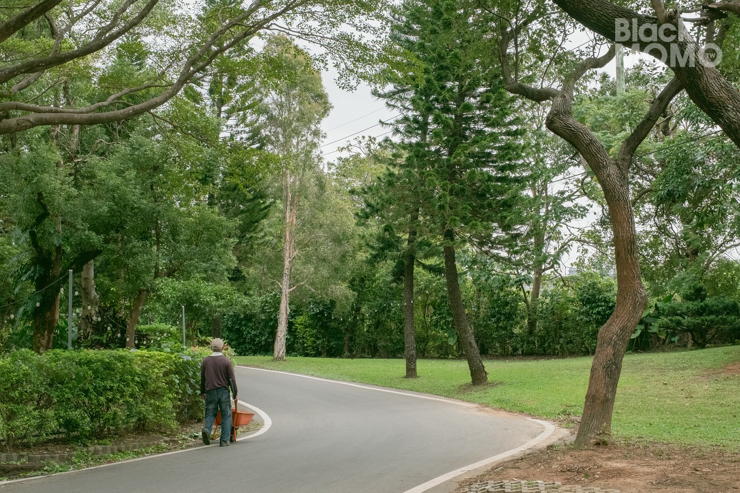平鎮|M PAIN・回歸新據點!藏在郊區的森林系麵包店 M PAIN