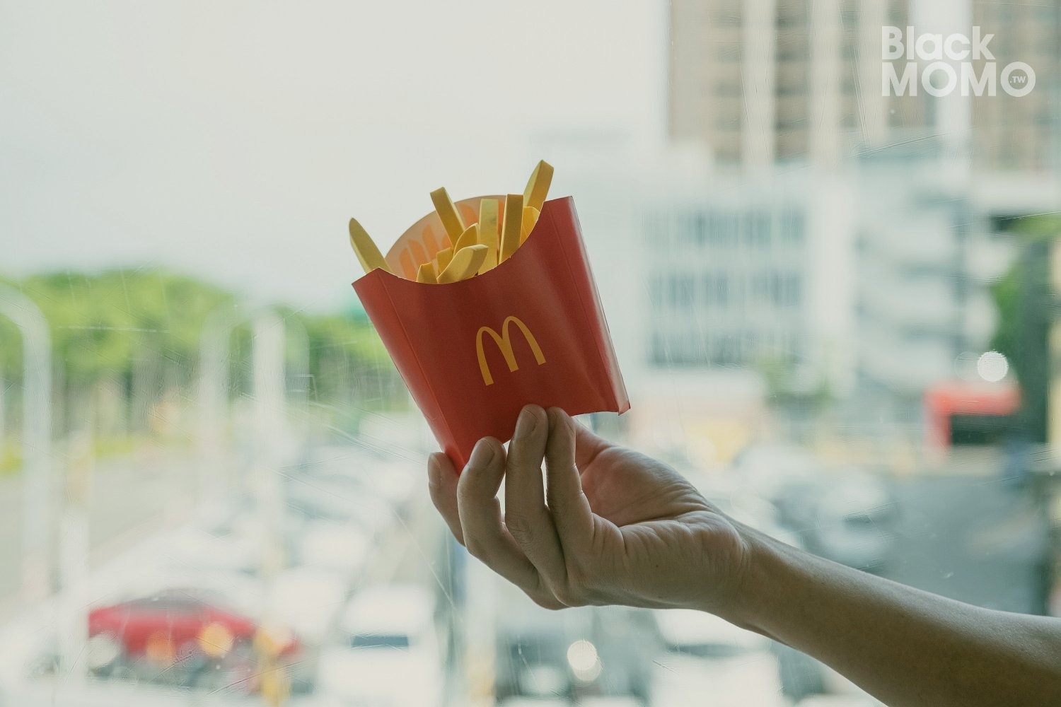 麥當勞小麥麥體驗營