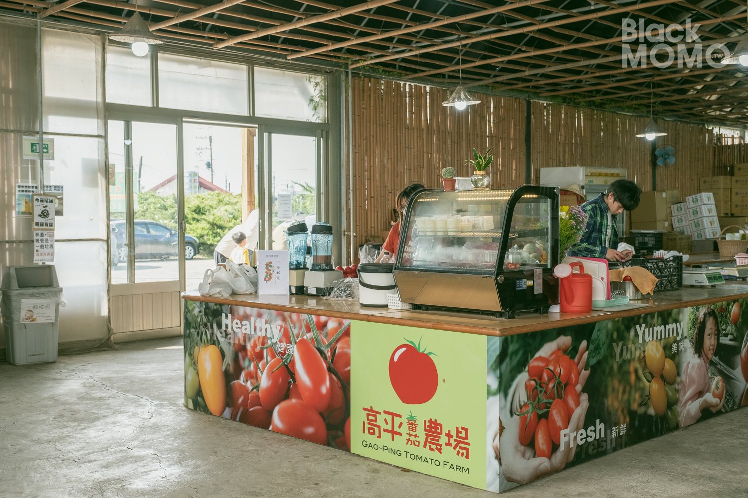 關西|高平番茄農場・溫室裡的無毒草莓與甜美番茄,親子採果的好去處 高平番茄農場