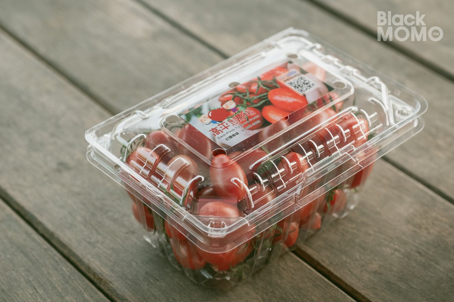 關西|高平番茄農場・溫室裡的無毒草莓與甜美番茄,親子採果的好去處 高平番茄農場