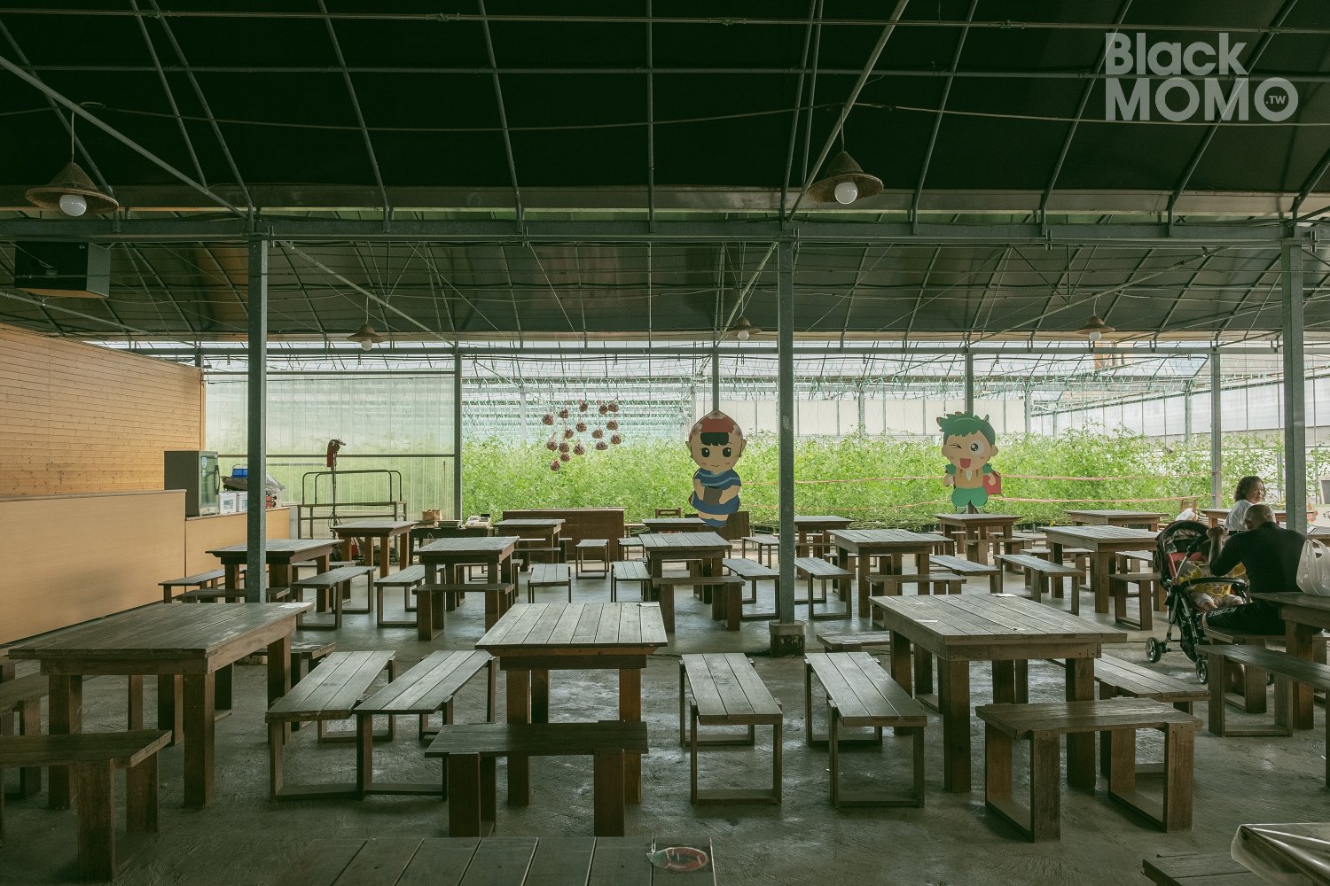 關西|高平番茄農場・溫室裡的無毒草莓與甜美番茄,親子採果的好去處 高平番茄農場