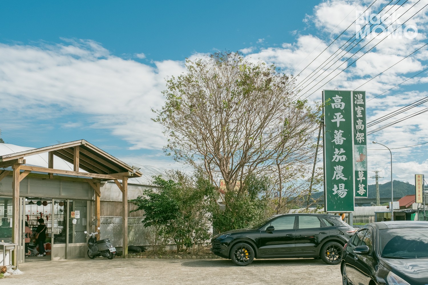 關西|高平番茄農場・溫室裡的無毒草莓與甜美番茄,親子採果的好去處 高平番茄農場