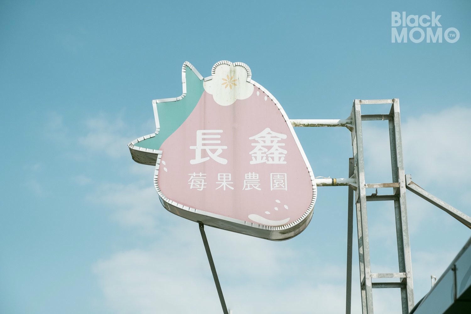 關西|長鑫莓果農園・十多種草莓品種齊聚,一次嚐到不同草莓風味 長鑫莓果農園