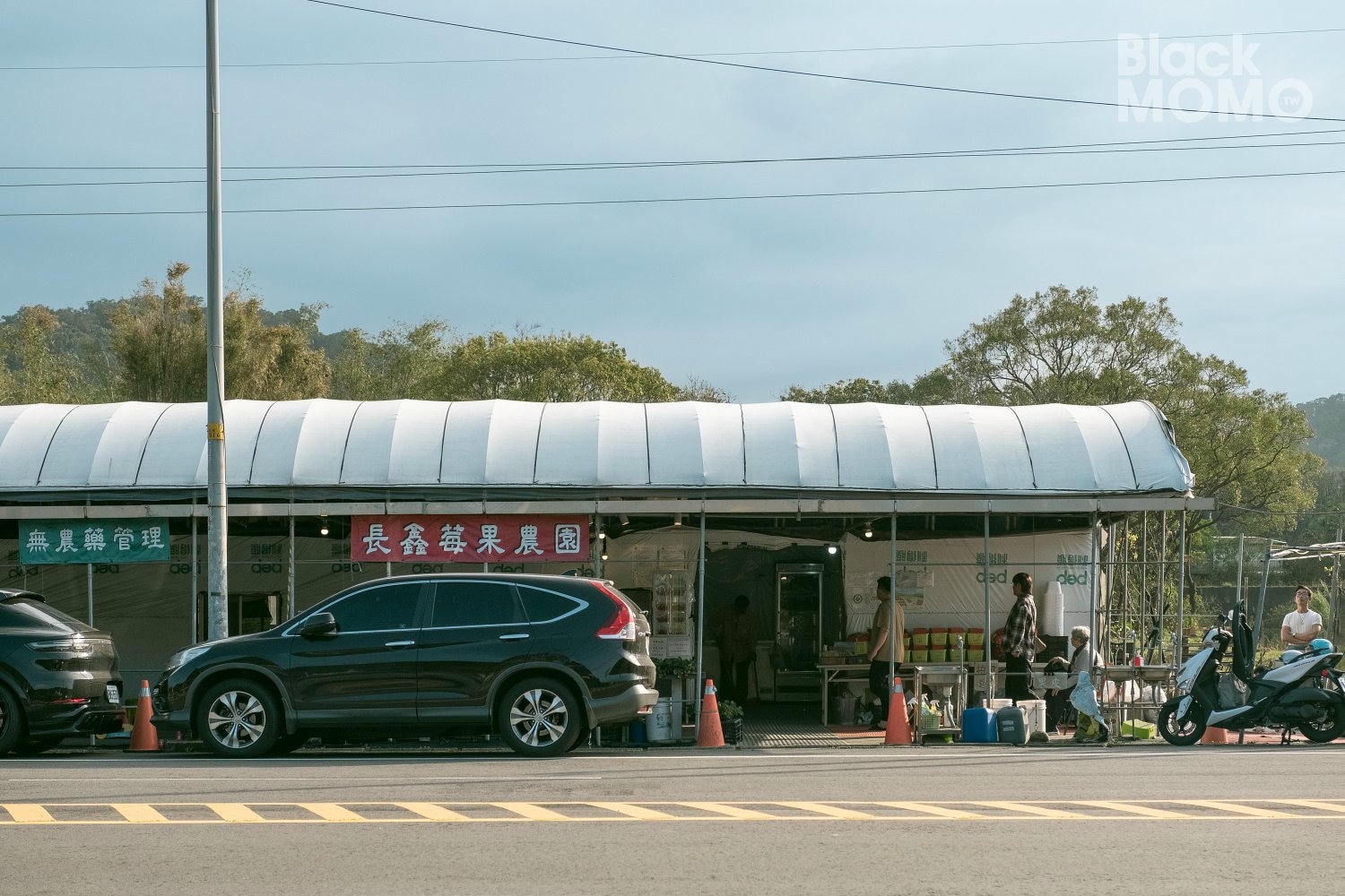關西|長鑫莓果農園・十多種草莓品種齊聚,一次嚐到不同草莓風味 長鑫莓果農園