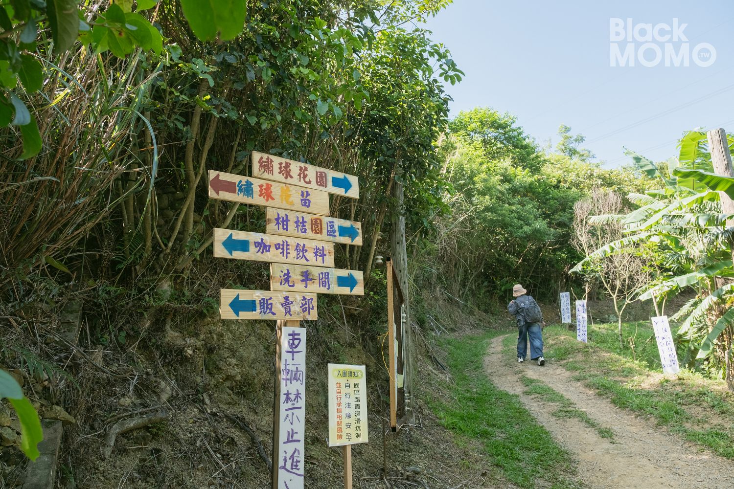 穧粑崠咖啡農場