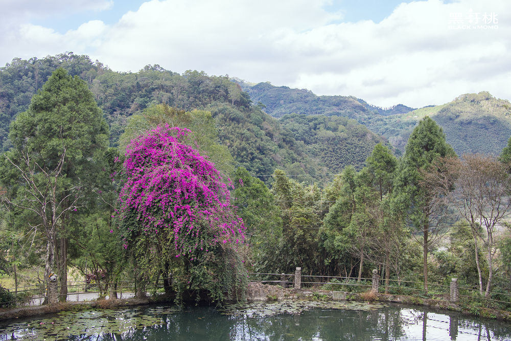 峇里森林溫泉渡假村